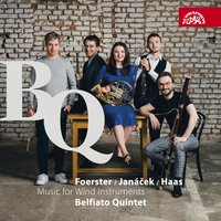 Youth: I. Allegro - Jindřich Pavliš & Belfiato Quintet & Belfiato Quintet, Jindřich Pavliš & Леош Яначек