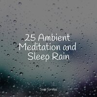 Sidewalk Rain - Meditation & Loopable Rain Sounds & Yoga Rain