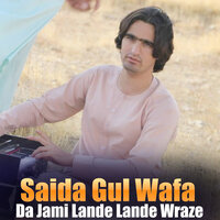 Janana Bea Ba Arman Kre - Saida Gul Wafa