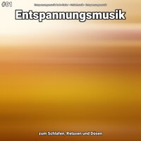 Entspannungsmusik Teil 54 - Entspannungsmusik Bodo Steier & Schlafmusik & Entspannungsmusik