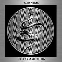 Broken into Three - Wailin' Storms