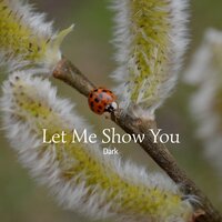 Let Me Show You - Dark