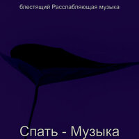 Атмосфера (Массаж) - блестящий Расслабляющая музыка