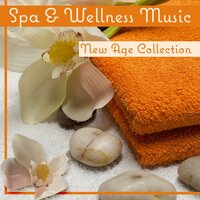 Calming Harmony - Spa Music Paradise Zone