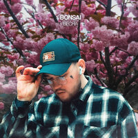 Весна - Bonsai