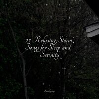 Rain From the Heavens - Yoga Para Ninos & Música para Relaxar Maestro & Native American Flute