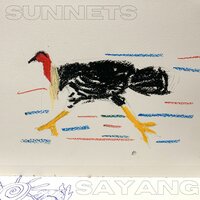 Take Me with You - Sunnets