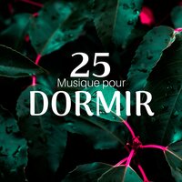 Techniques de relaxation - Douce Nuit