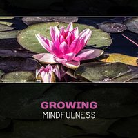 Mystical Movement - Meditation Therapy Society