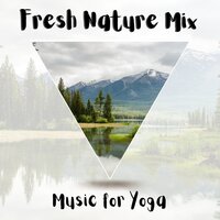 Wings on the Wind - Nature Sounds & Music Library