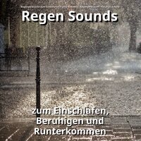 Regen für Meditation - Regengeräusche zum Einschlafen Franco Rodewig & Regengeräusche & Naturgeräusche