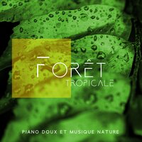 Sons de la nature - Ensemble de Musique Zen Relaxante & Musique Douce Academy