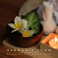 Massage Therapy Music - Relaxing Spa Music Zone