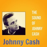 In Them Old Cottonfields Back Home - Johnny Cash