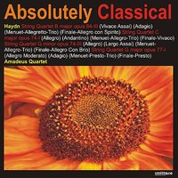 String Quartet in B Major, Op. 64 III: III. Menuet, allegretto, trio - Йозеф Гайдн & Amadeus Quartet