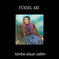 Sürgülü Mehmet - Yüksel Arı