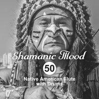 Feel the Spirit - Shamanic Drumming World & Native American Music Consort