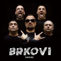 Draga, zapio sam djecu - Brkovi
