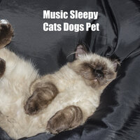 Sleep Music For Pets - Music for dog's joys & Music For Cats & World of cat's