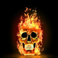 La traversée du désert - Wild Thing Fire