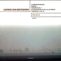 Sonata in C Minor, Op. 111 No. 32: I. Maestoso. Allegro con brio ed appassionato - Miki Skuta & Ludwig van Beethoven
