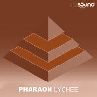 Accostable - PHARAON