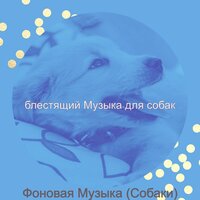 Атмосфера (Тихие щенки) - блестящий Музыка для собак