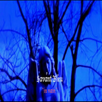 In Vain - Sam B & Savant Bleu