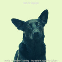 Glorious Ambience for Calming Dogs - Music for Dogs Bgm
