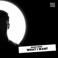 What I Want - Edson Pride & Native Bumpers