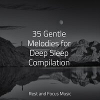 Warmth in the Ocean - ZEN & Música de la Naturaleza & Academia de Música para Massagem Relaxamento