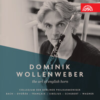 Quartet for Cor Anglais, Violin, Viola and Cello: No. 4, Andanino - Dominik Wollenweber & Madeleine Carruzzo & Solène Kermarrec & Ignacy Miecznikowski