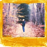Murmuration 2 - Nonfiction