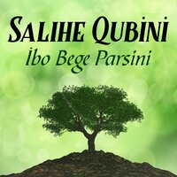 Emine Ahmed - Salihê Qubînî