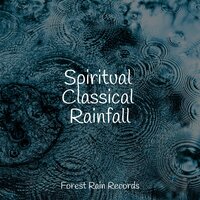Forest, Busy, Animals - Natural Samples & White Noise for Babies & Nature's Symphony