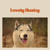 Sunkissed and Renewed - Dog Music Hour