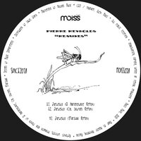 Zoewehlo - Pierre Reynolds & Q Narongwate