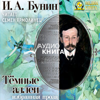 Иван Бунин. «Тёмные аллеи. Избранная проза». Часть 64 - Семен Ярмолинец