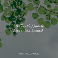 Moon Gazing - The White Noise Zen & Meditation Sound Lab & Deep Relaxation Meditation Academy & Monarch Baby Lullaby Institute
