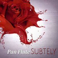Reiki Healing - Pan Flute Music Society