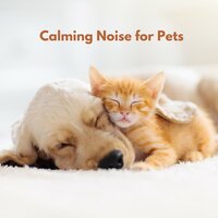 Dog, Cat & Hamster Traffic Noise for Calm Down - The Dog Relaxer & The Cat Relaxer & The Hamster Helper
