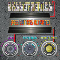 Deep Bass Feelings - Bassotronics