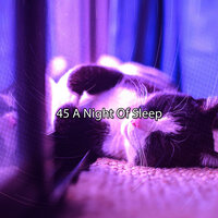 Успокаивающая жизнь - Deep Sleep FX