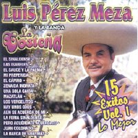 Aún Se Acuerda De Mi - Luis Perez Meza & La Banda La Costeña
