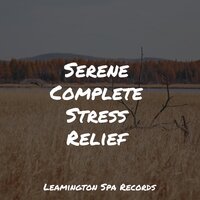 Loving Atmosphere - Alpha Waves & Mindfulness Mediation World & Nature Sounds for Sleep and Relaxation