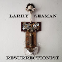 Long Slow Fade - Larry Seaman