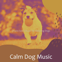 Number One Solo Piano Jazz - Vibe for Calming Pups - Calm Dog Music