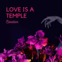 We Have Known More About Us - Elevation