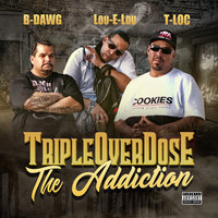 California State - T-Loc & Lou-E-Lou & B-Dawg