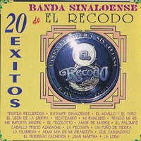 El Novillo y el Toro - Banda Sinaloense De El Recodo